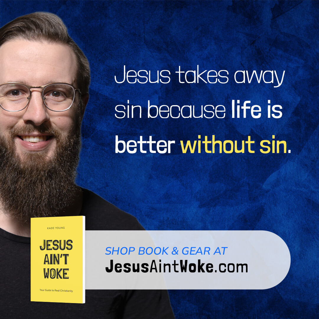 Jesus takes away sin because life is better without sin.